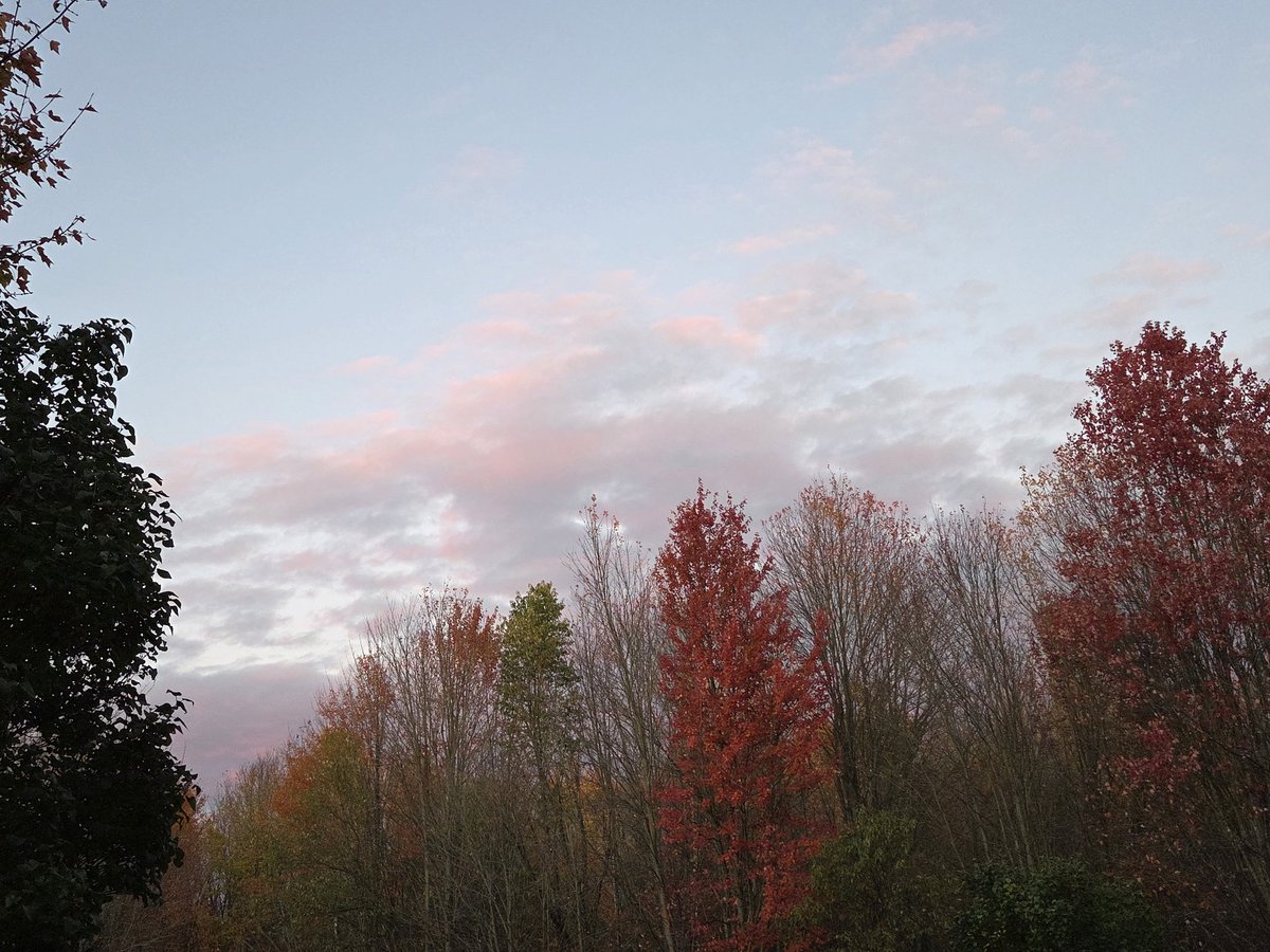 Sunset from back porch facing East. 
Le coucher de soleil est beau à l'Est ce soir