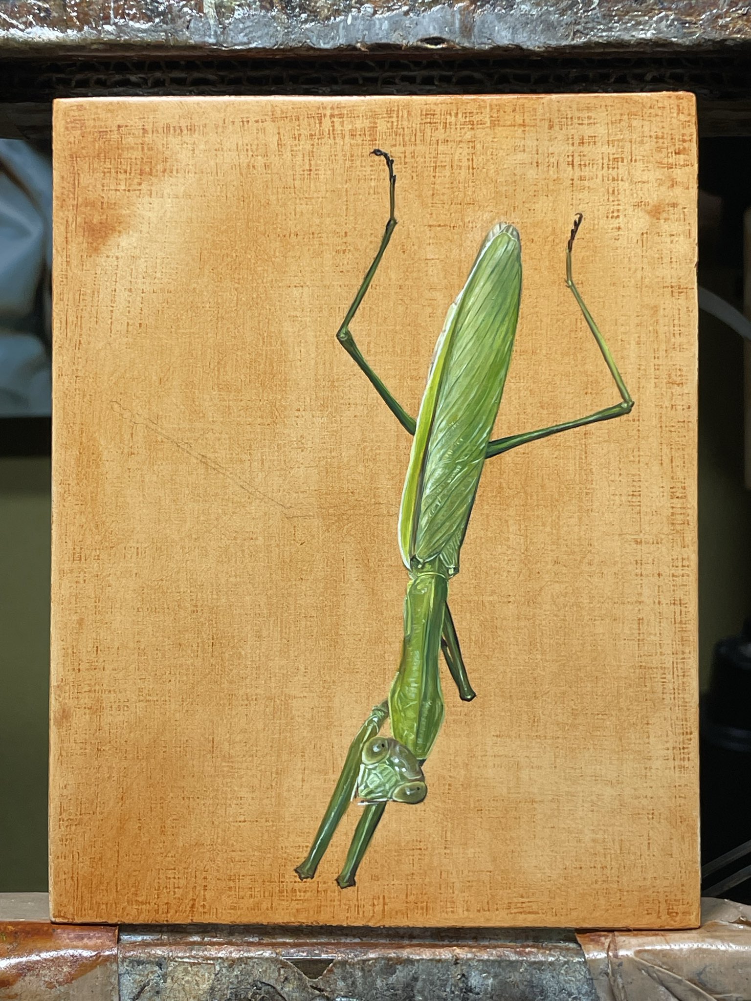 カマキリ図案　珍しい柄　共箱付き 655ec64b4334a.png