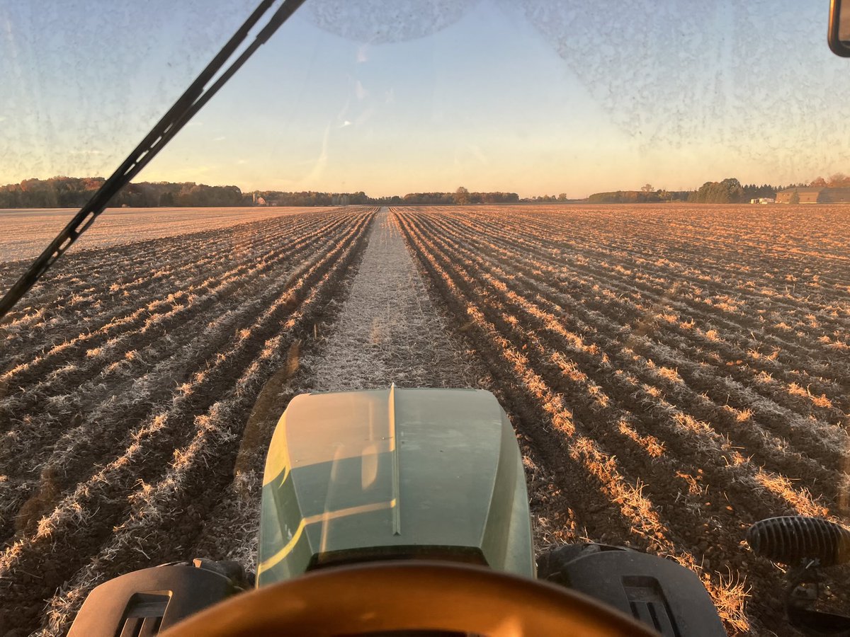 Adam Pfeffer tweet media