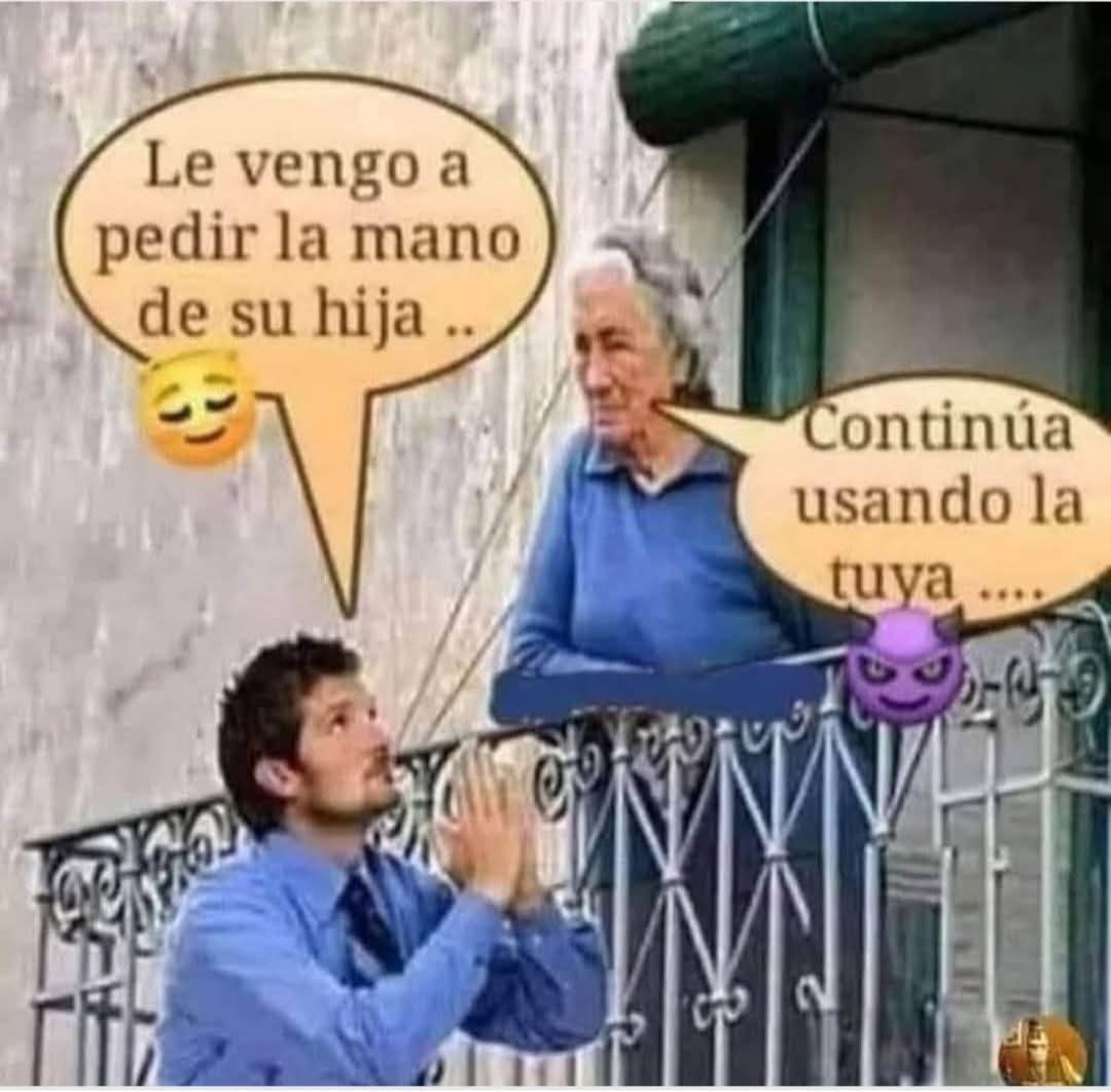 Flordehigopico🌸🌵 tweet media