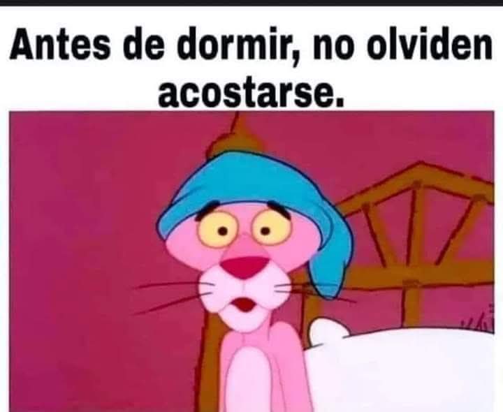 Flordehigopico🌸🌵 tweet media