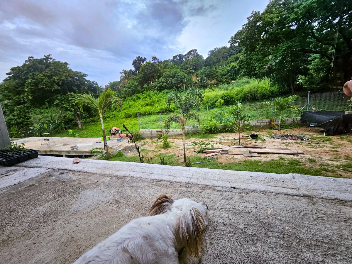 Evening folks 🇨🇴