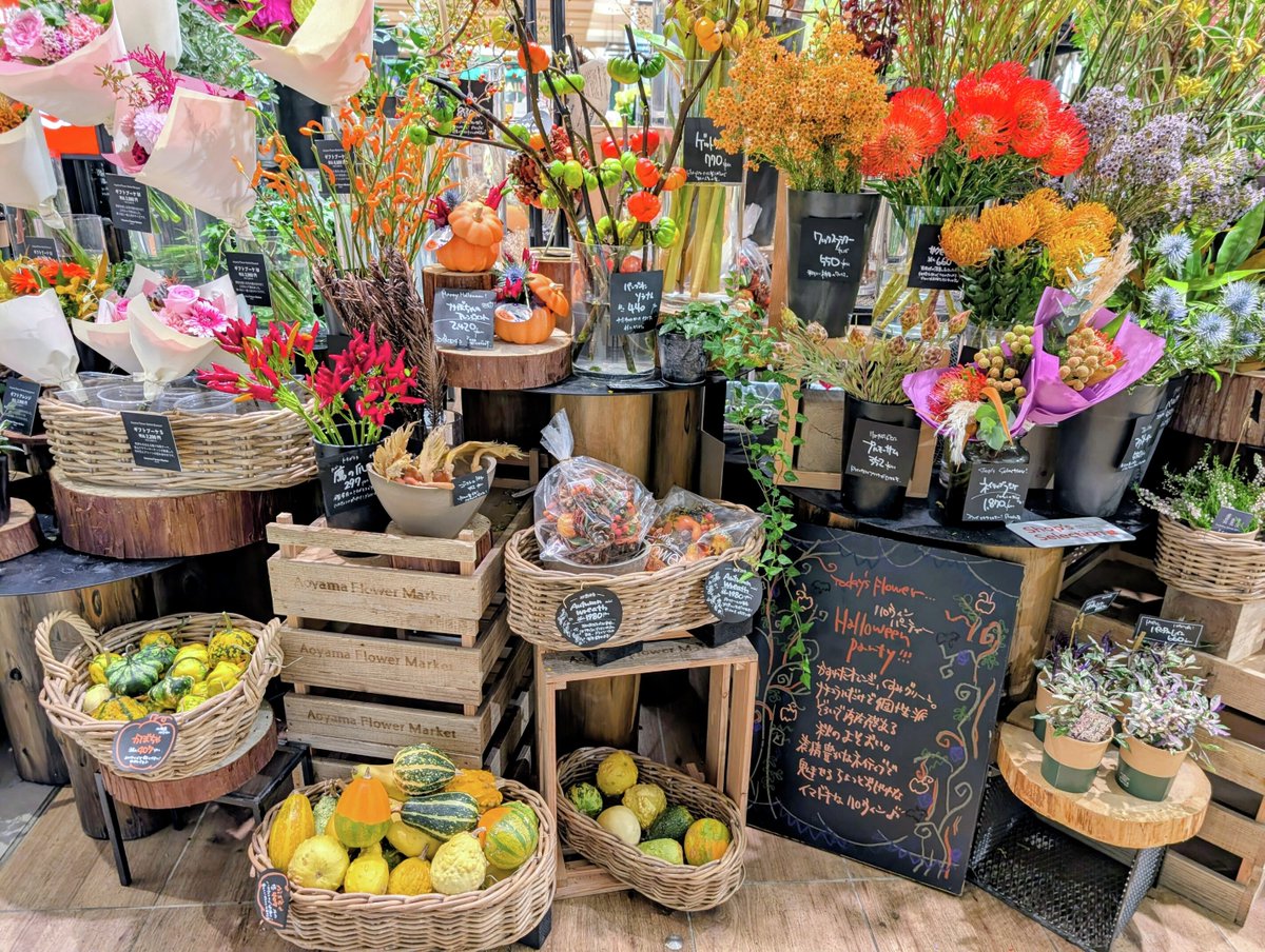 🎃いつもの空間を魔法でチェンジ！ お部屋に飾るだけで気分が上がる