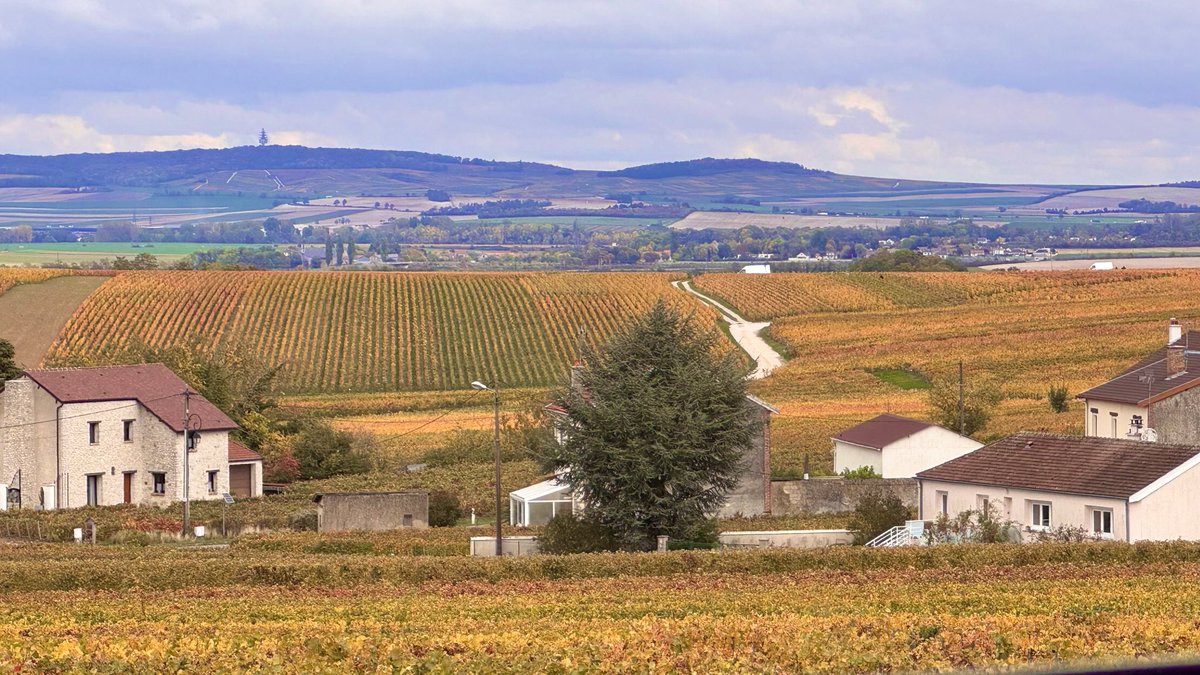 仏のシャンパーニュ地方に来た。紅葉真っ盛り🍁カドミアム黄色、カドミアムレモン黄色、オペラローズ、バイオレットを主に使う。彩度の調整難しいー。雲だけど美しい風景に酔ってしまう。(シャンパン無しでね😆)