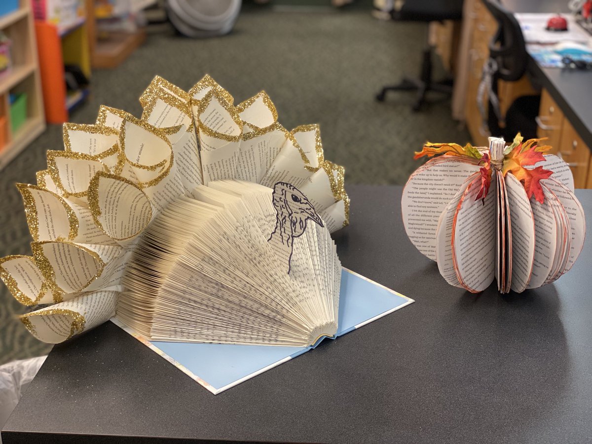 Virginia Salcedo tweet media