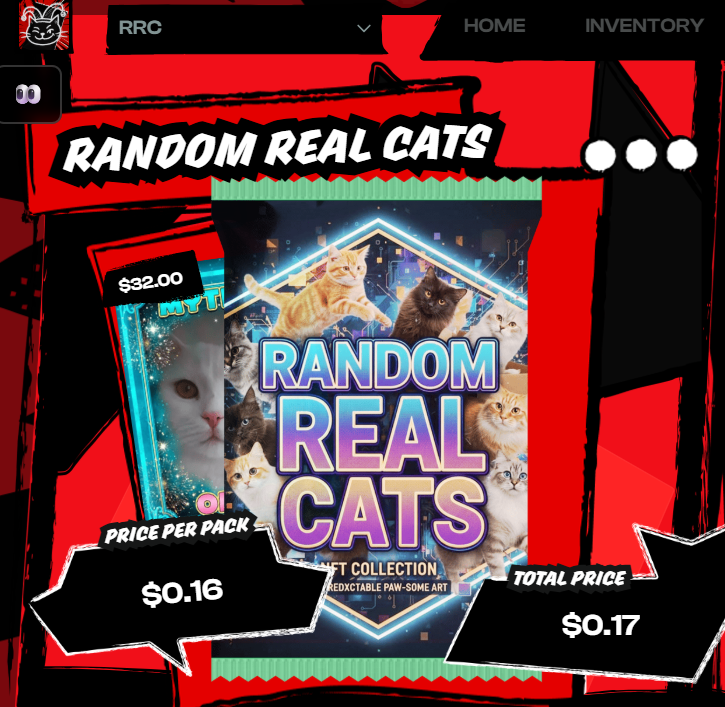 randomrealcats's tweet photo. Daily Airdrop #1

Every day, 10 random users active on VibeChain win Random Real Cats packs. Here are the winners of Day 1!
👇#vibechain #vibedotmarket #Farcaster https://t.co/FRNQEyZjrk