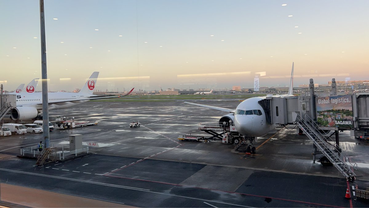 島根へ飛行機で行く妻を送り出して、二度寝💤
何だかボッーとしています

おはようございます☀
華金です✨
良い一日をお過ごし下さい👍