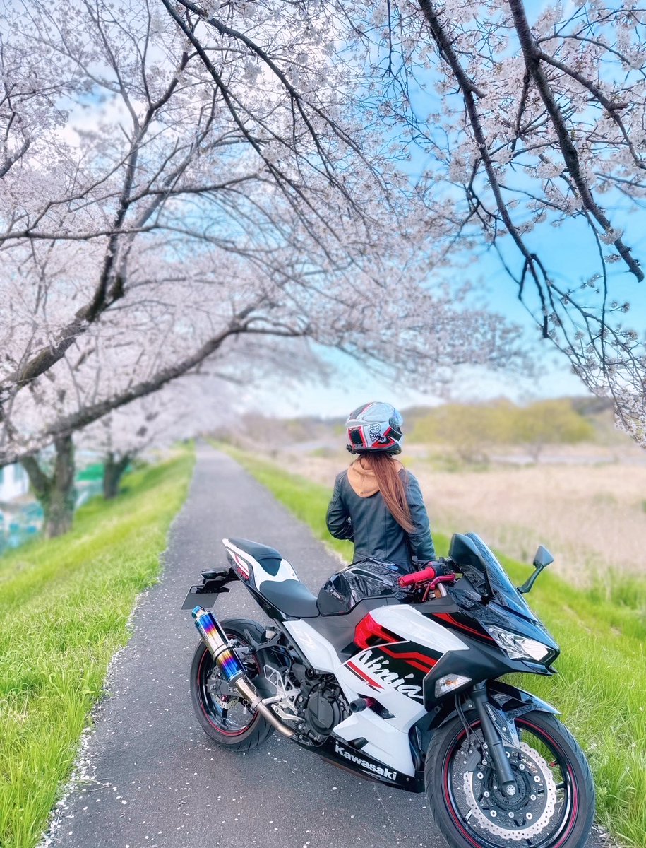 【ちゃんまる】22年新作STONE  ナイロンメタル 楽天市場】【即日発送可】ゼット（ZETT） BSR2218WH 金具