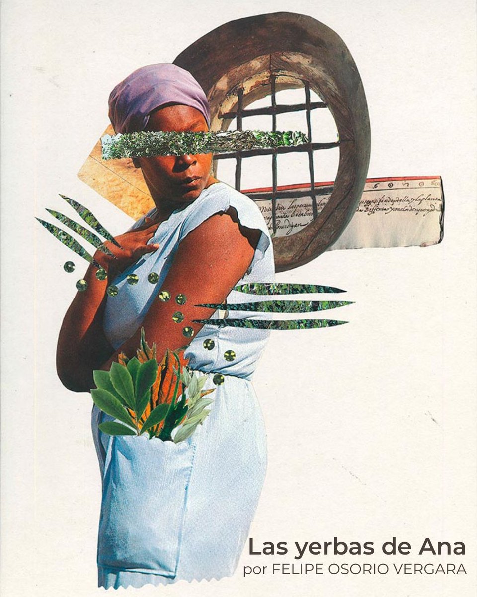 En Medellín estamos presenciando una cacería de brujas. Bajo el rótulo de “brujería” se empaquetan con desprecio prácticas y saberes de comunidades negras y ancestrales; se les cuelga una moral que las juzga y, de paso, borra la historia que nos trajo hasta esta ciudad que