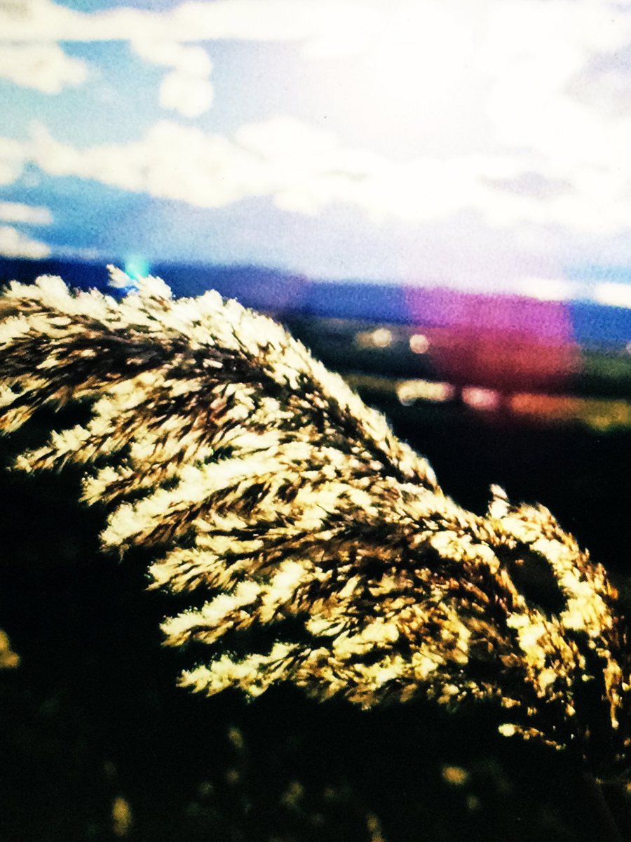 そよぐ #秋🎃🍁🍄🌰風

🍁🌰🍂゜*:.。.:*🍁🌰🍂゜*:.。.:*🍁🌰🍂゜*:.。.:*🍁🌰🍂゜*:.。.:*🍁🌰🍂゜*:.。.:*🍁🌰🍂゜*:.。.:*🍁🌰🍂