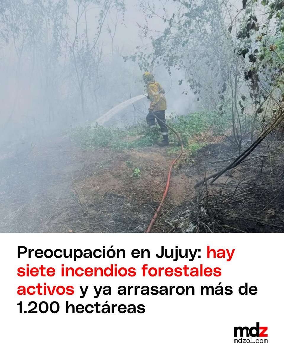 mdzol's tweet photo. 🌎🔥Siete incendios forestales permanecen activos en distintos puntos del Ramal. Tres de ellos alcanzaron una magnitud alarmante, afectando más de 1.200 hectáreas de bosque nativo, pastizales y zonas de cultivo.

#Jujuy #IncendiosForestales #SNMF https://t.co/d2hwPhm3FW
