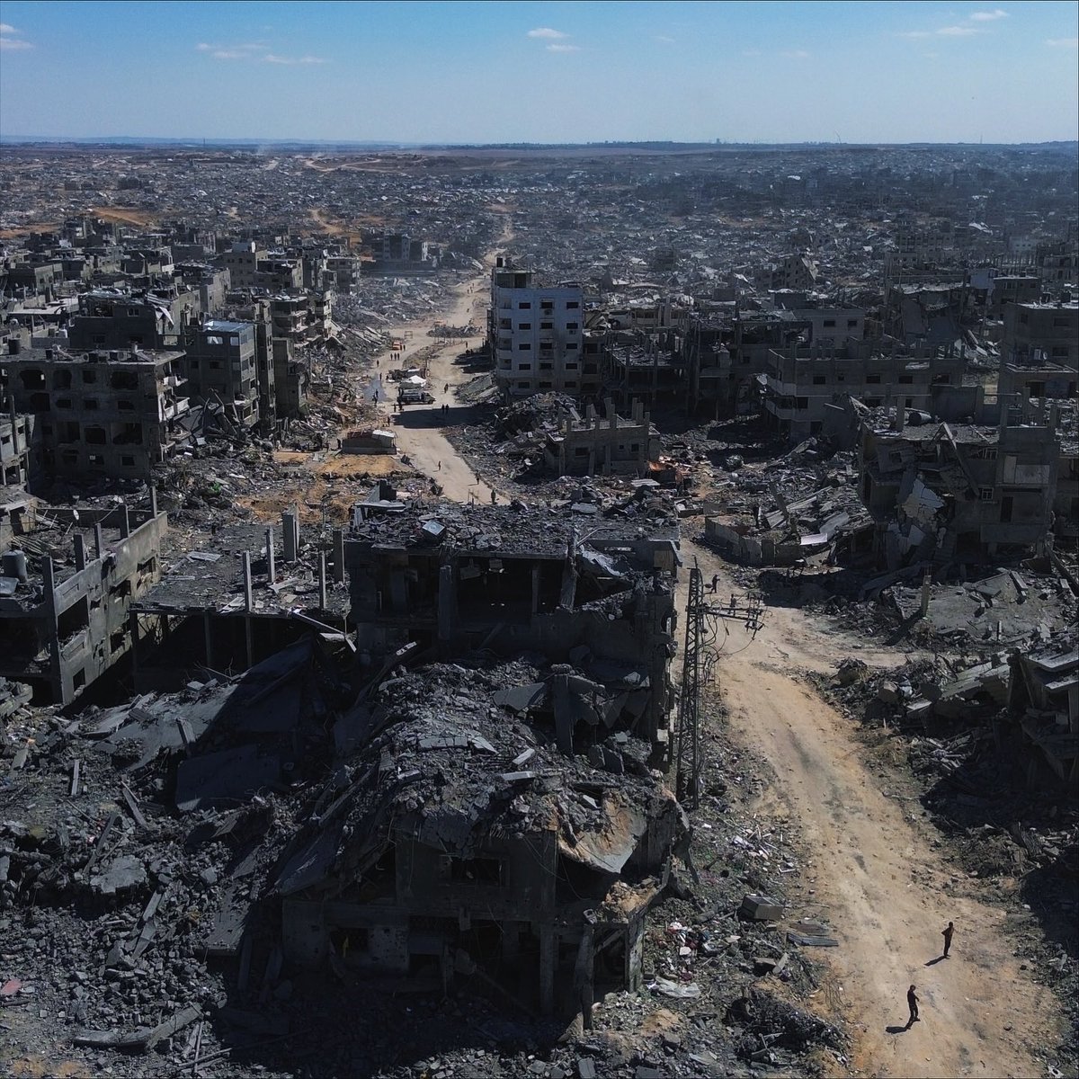Jews did this.
