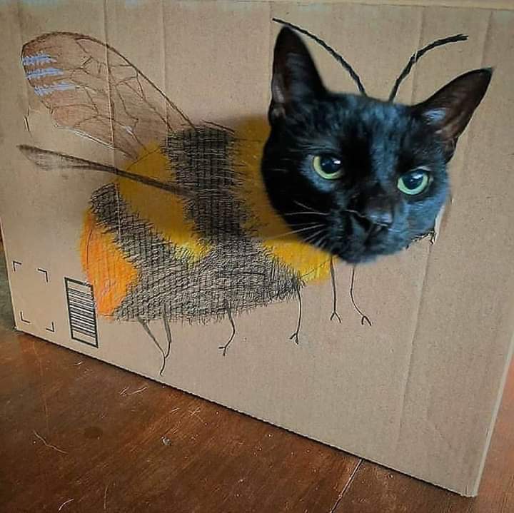 WWaltuhh's tweet image. Fun bee fact!:
Mroaw.