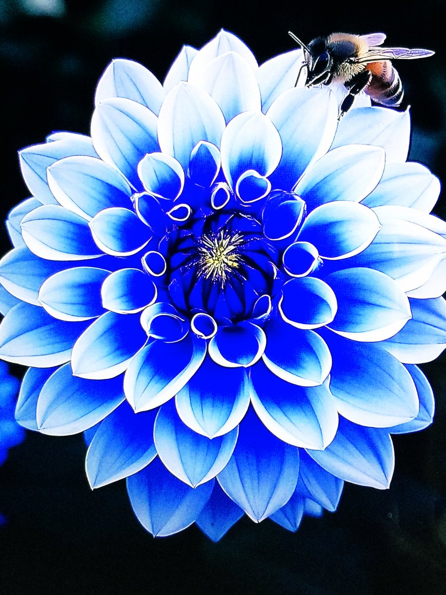 青に染められて✋

✻*🌸ꕤ*🌼˸*⋆。✻*˸🍀ꕤ🍀*˸*⋆。