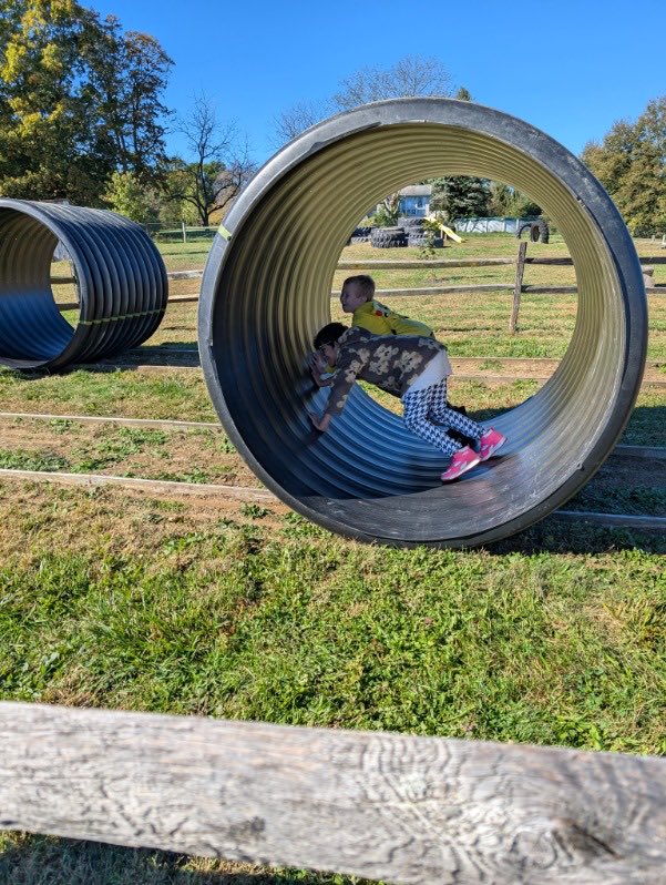 pinestreetelem's tweet photo. Field trips are so much fun! ⁦@PalmyraSchools⁩ ⁦@MrsGeorge_Rm5⁩ https://t.co/Rm1aoijk28