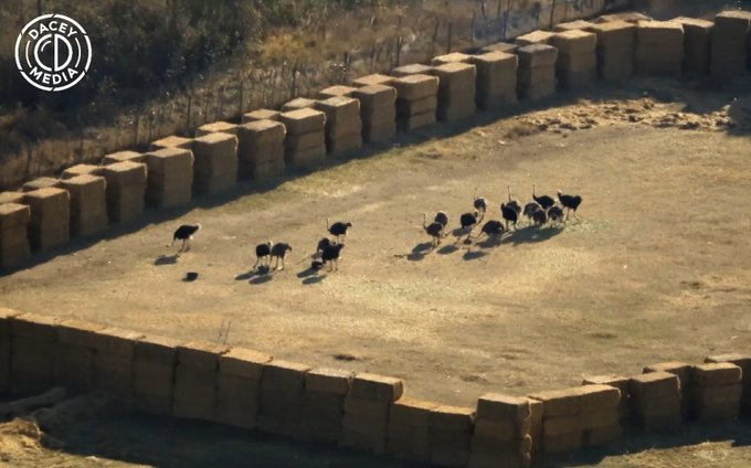 The BC ostrich farm debacle is a sh!t show on every side.
Police are acting as brown shirts.
Federal agents defying court orders. (with RCMP help)
The farmers legal team is asleep at the wheel, and they allowed agents to deactivate their camera systems. (unlawful, who is your