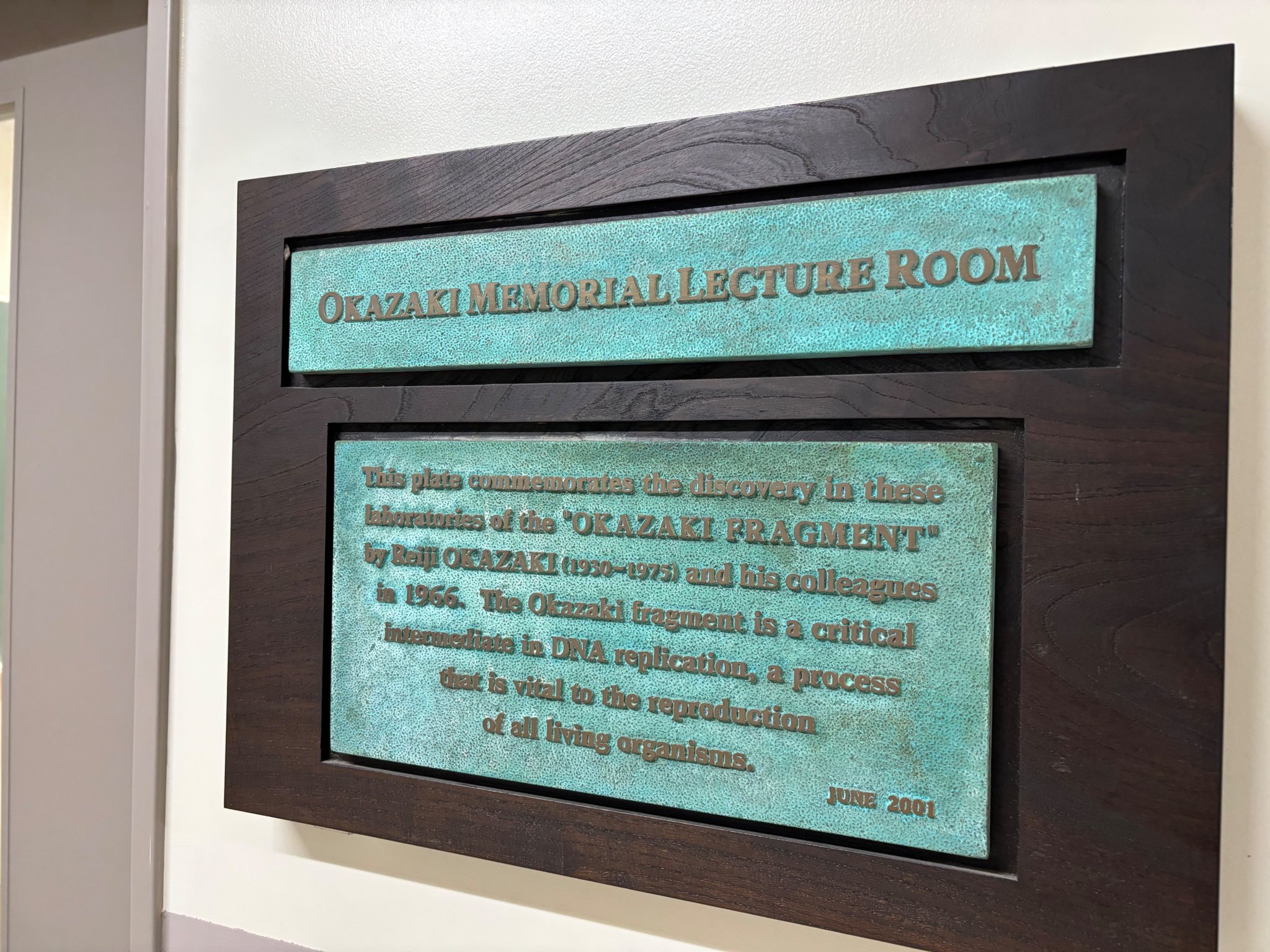 Wataru Sakamoto on X: 