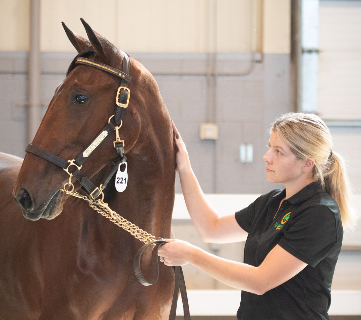 London Classic Yearling Sale tweet media