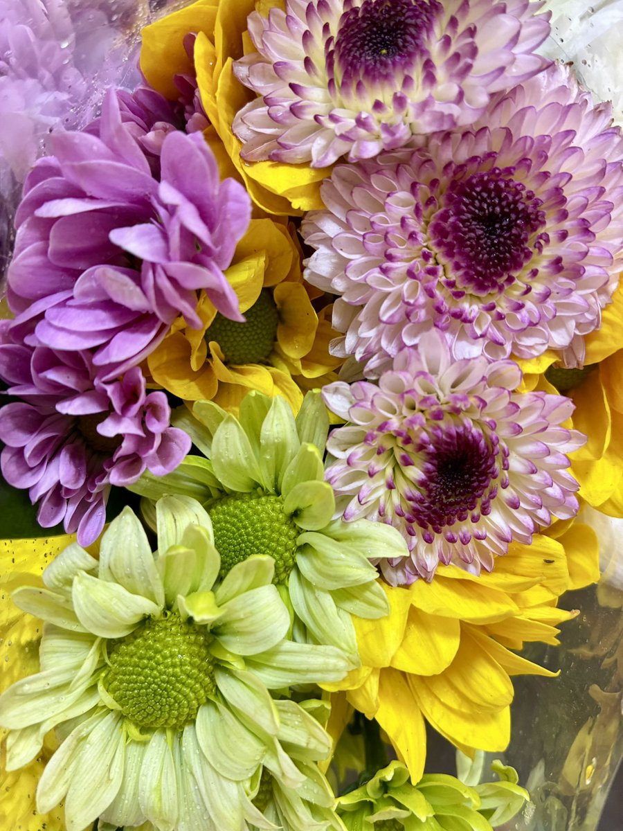 20251017 おはようございます

パタヤ地方🏖️
本日の気温 最高31℃ 最低25℃

グッモ〜ニン今日のme〜

今月末までが雨季のタイ🇹🇭
最近は天気が不安定です☀️☁️☔️
晴れていると思って洗濯物を干していたら
スコールが…😱

そんなこんなでハナキンちゃん💐

今日はどーなのお天気ちゃん
☀️？☁️？☔️？ん？