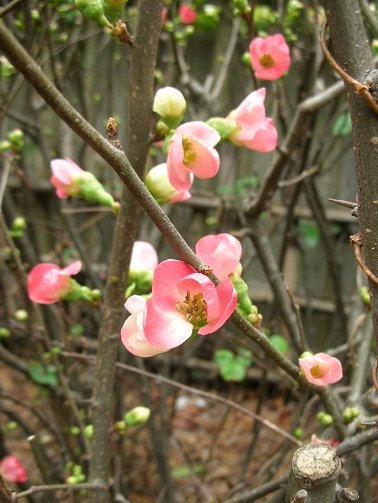 楽しいスピ on X