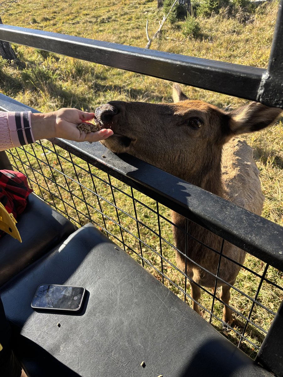 RickBonnette tweet media