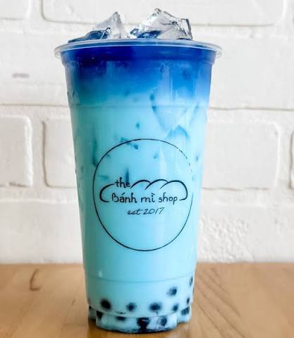 Boba?

📷 <a href="/Daedalus1998/">DaedalusRaccoon</a>