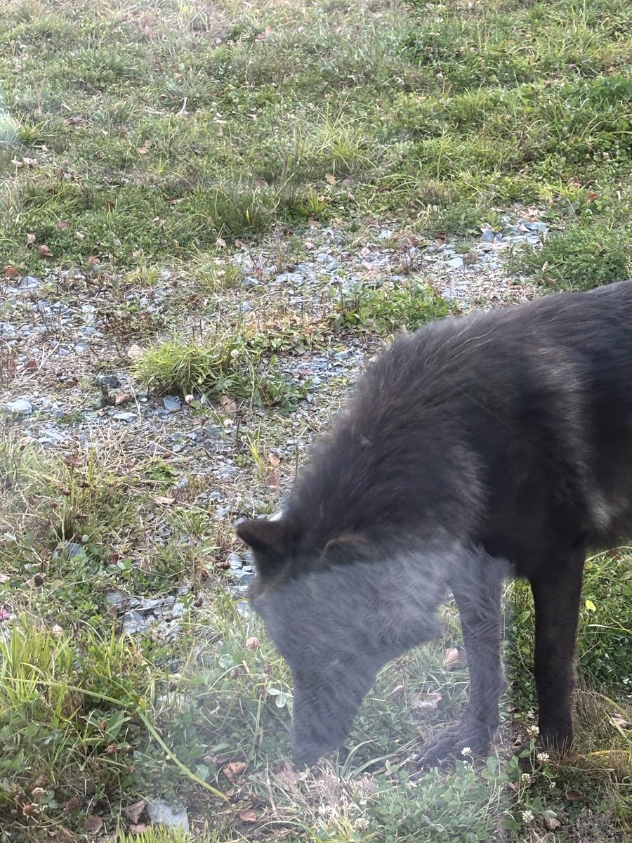 RickBonnette tweet media