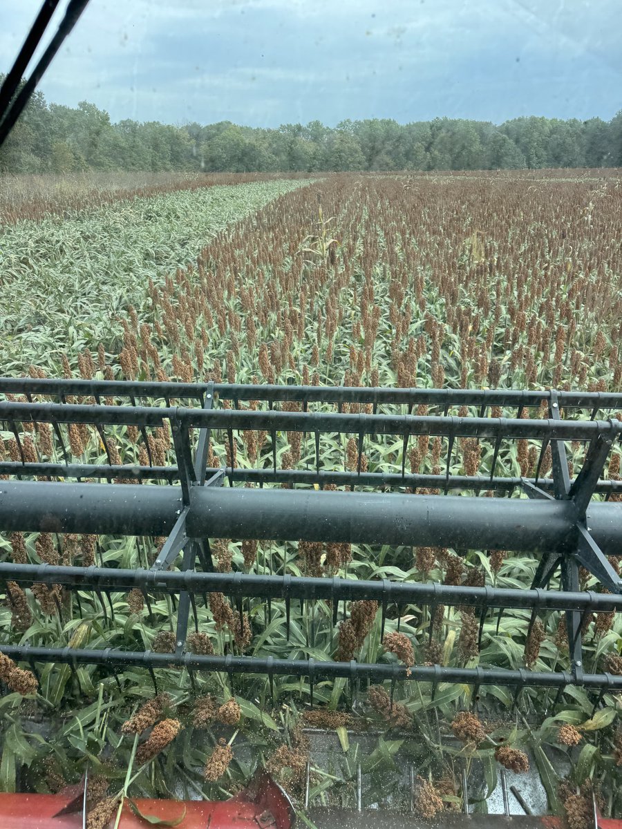 Gavin Spoor tweet media