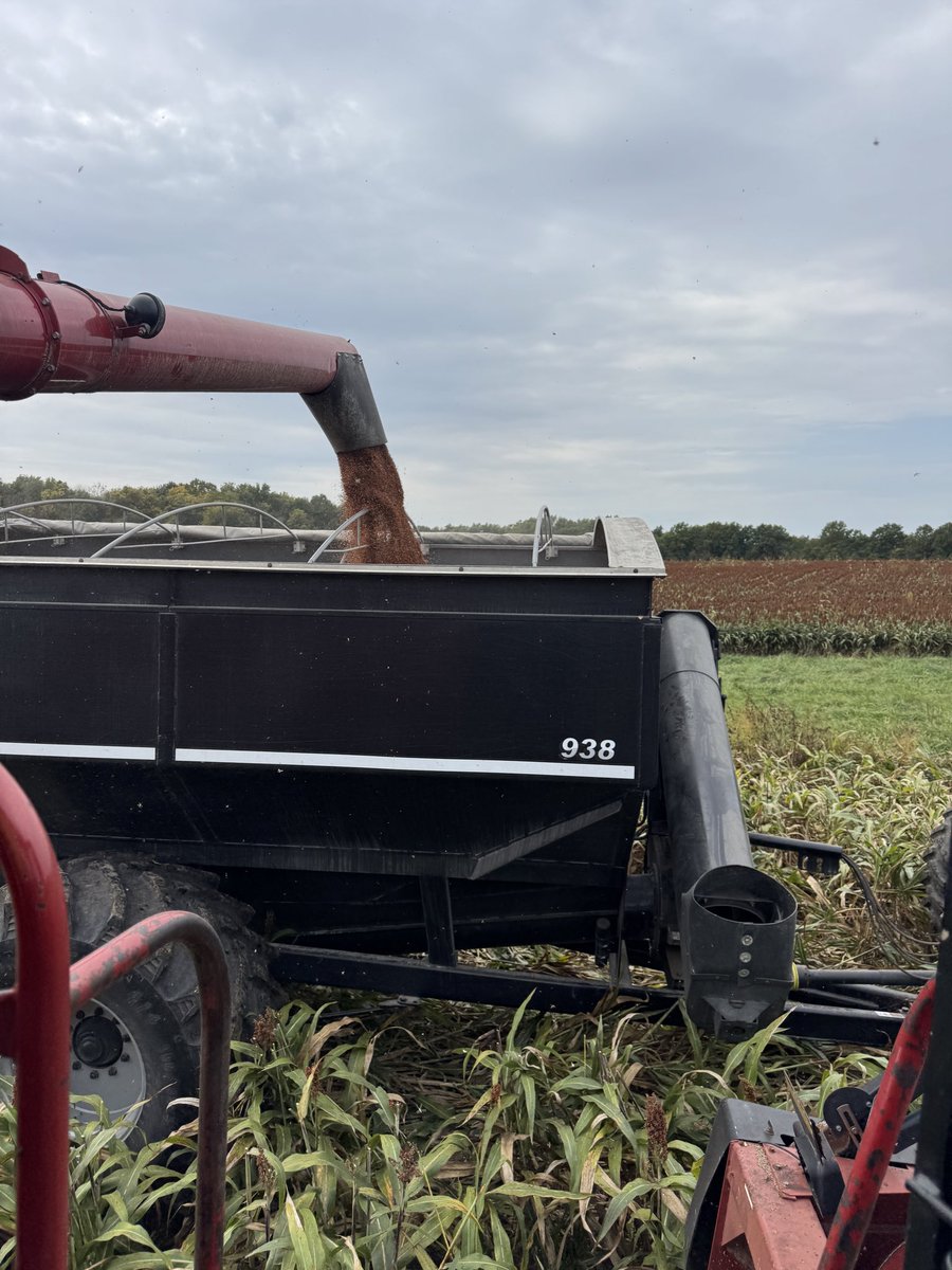 Gavin Spoor tweet media