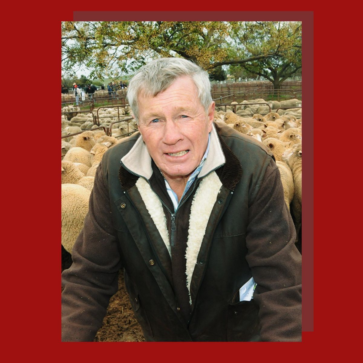 NWDAP_au's tweet photo. Current NWDAP committee member and former Chair, Geoff Power, has received a commendation from The Rotary Foundation for his outstanding contributions to agriculture!  👏🏼

He has done incredible work on the Dog Fence Rebuild and on SA's biosecurity projects . Congrats, Geoff! ✨ https://t.co/PYwtnjiIfs