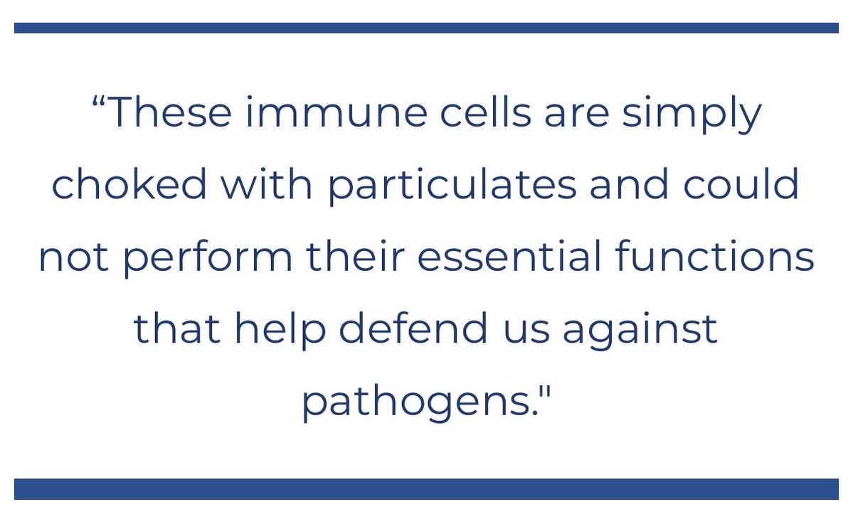 Scott Daniska (@scott_scientist) on Twitter photo “Why do I have viral persistence?”
For the subset of patients who have clinically significant levels of viral persistence, something is wrong with your body that makes you unable to clear out that infection. Most people with an infection are able to (nearly) fully clear away the “Why do I have viral persistence?”
For the subset of patients who have clinically significant levels of viral persistence, something is wrong with your body that makes you unable to clear out that infection. Most people with an infection are able to (nearly) fully clear away the