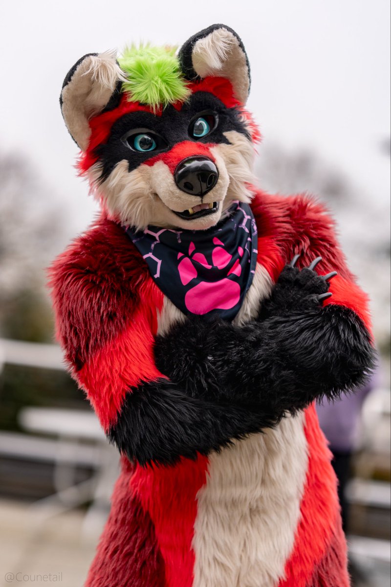 RalfBox's tweet image. Show me…
You out of suit,
You in fursuit, 
And art of your sona!!

Better late than never