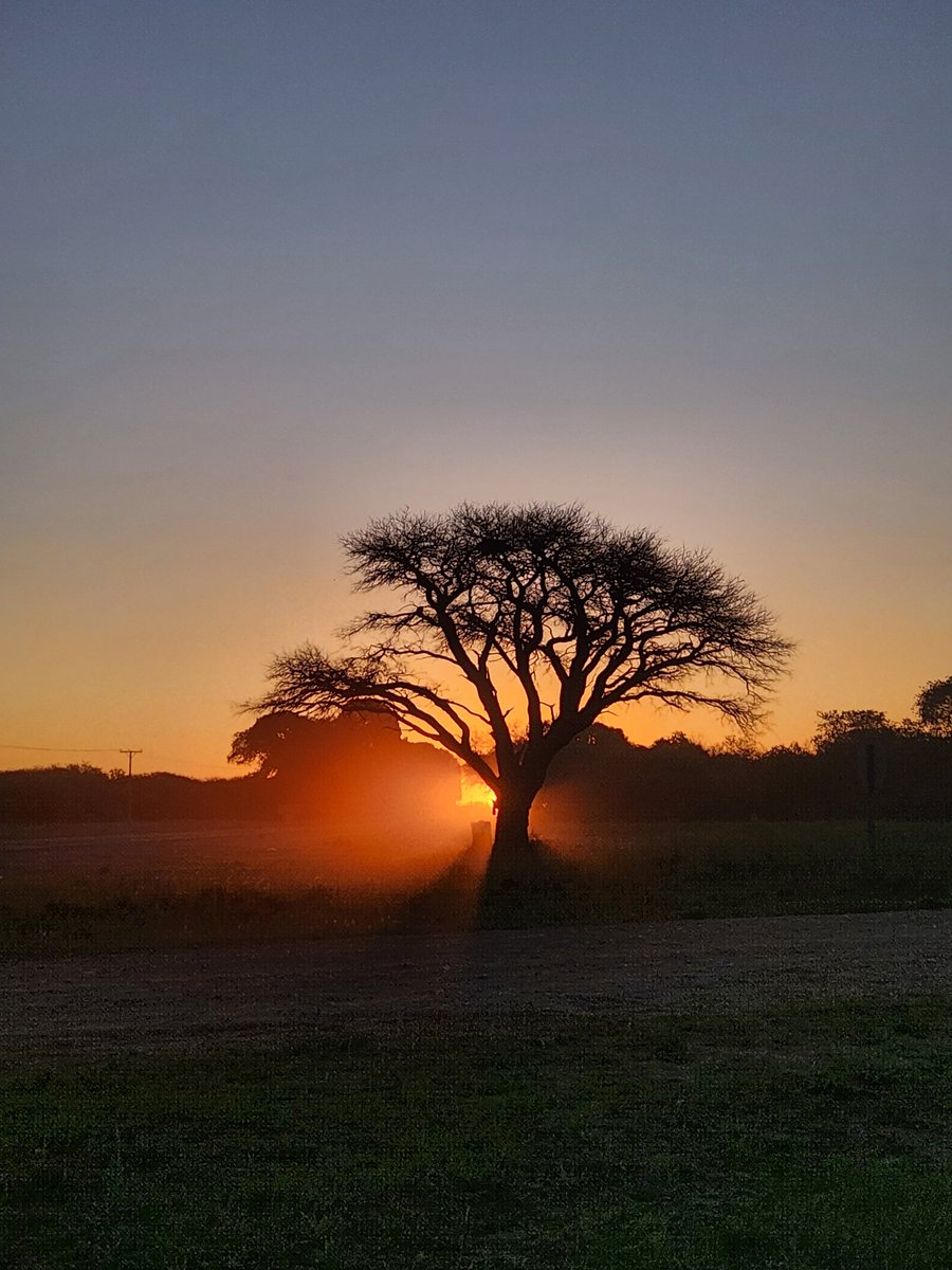 Un día  de oficina #gentedepastos La Pampa 🇦🇷