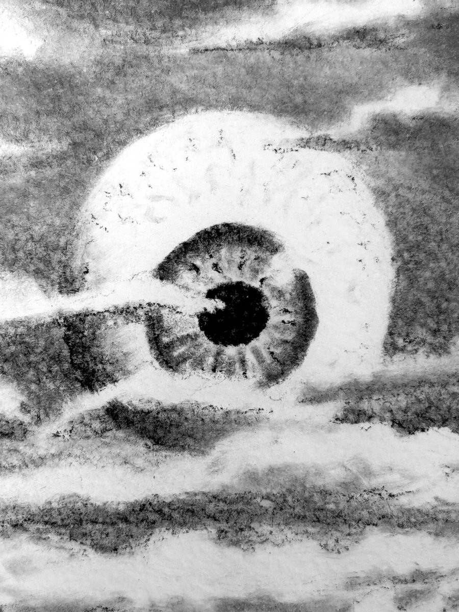 Timothy Stokes tweet media