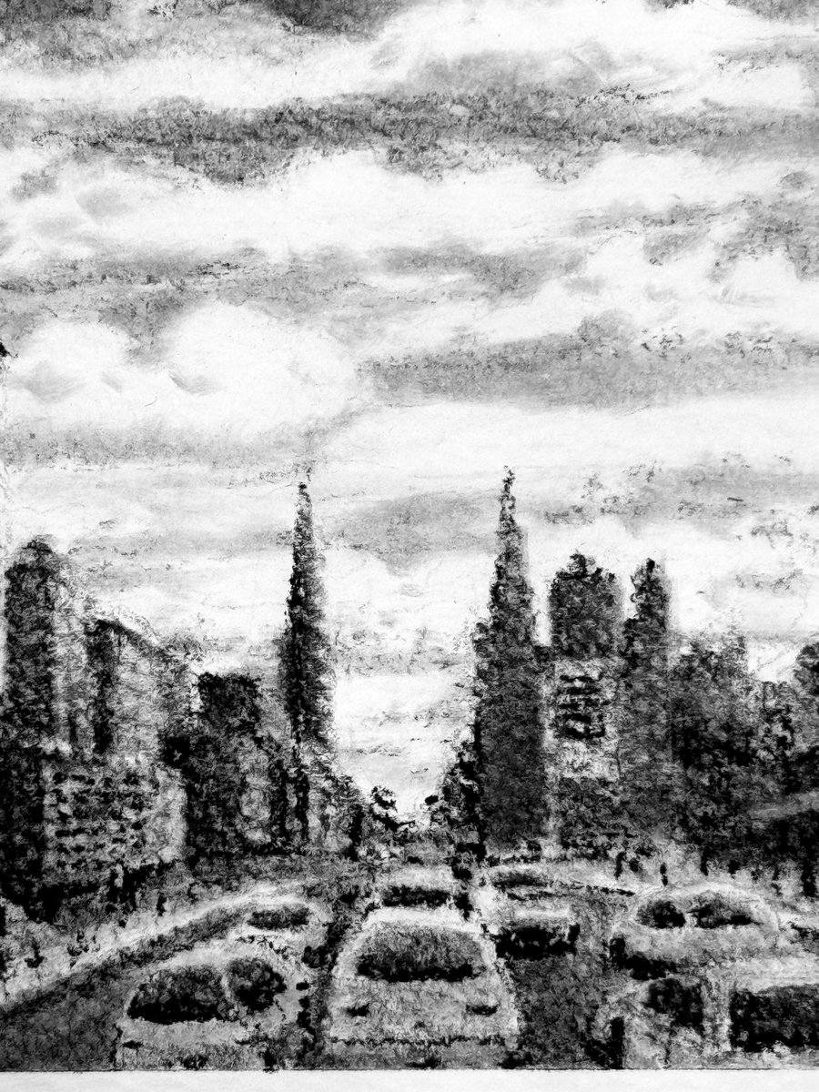 Timothy Stokes tweet media