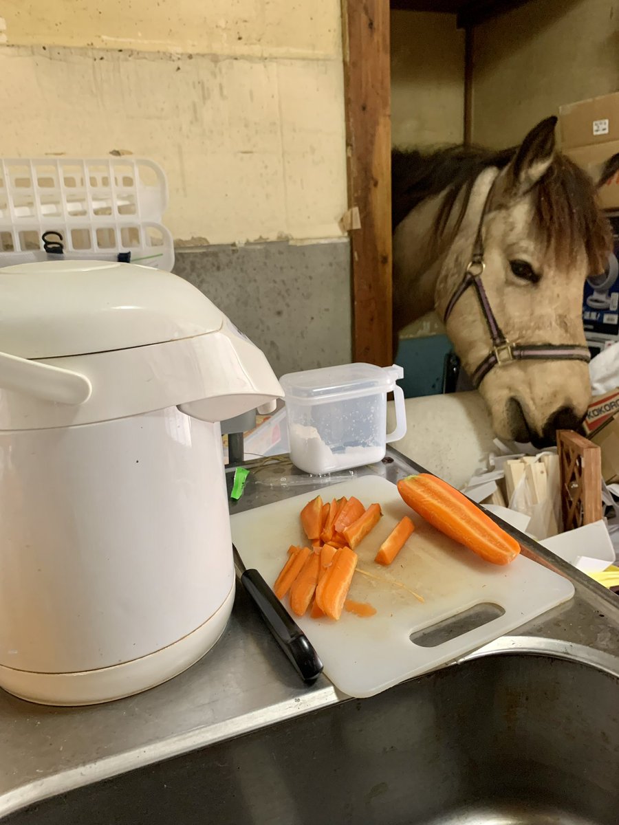 おはようどどんあっ🥕