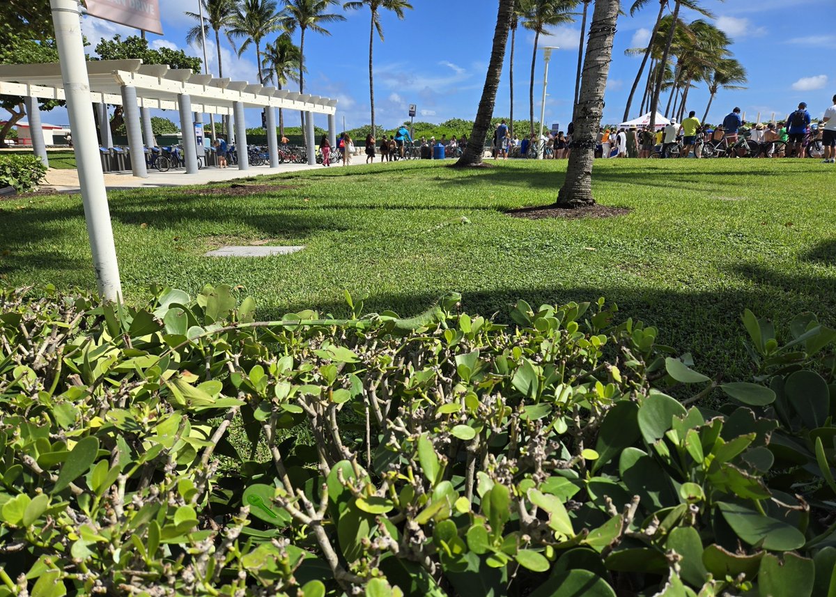 Florida Sea Watch tweet media
