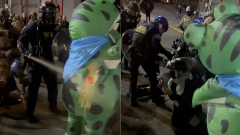 CrispinCowan0's tweet photo. @TheAuthorGuy Given that Trump is just ITCHING to declare martial law, I think that ridicule (#frogsuits) is right on target for how to protest and respond. ICE cannot be caught on film beating the crap out of someone in costume. It is IMPOSSIBLE to position this person as "threatening" https://t.co/ipULhJwl4S