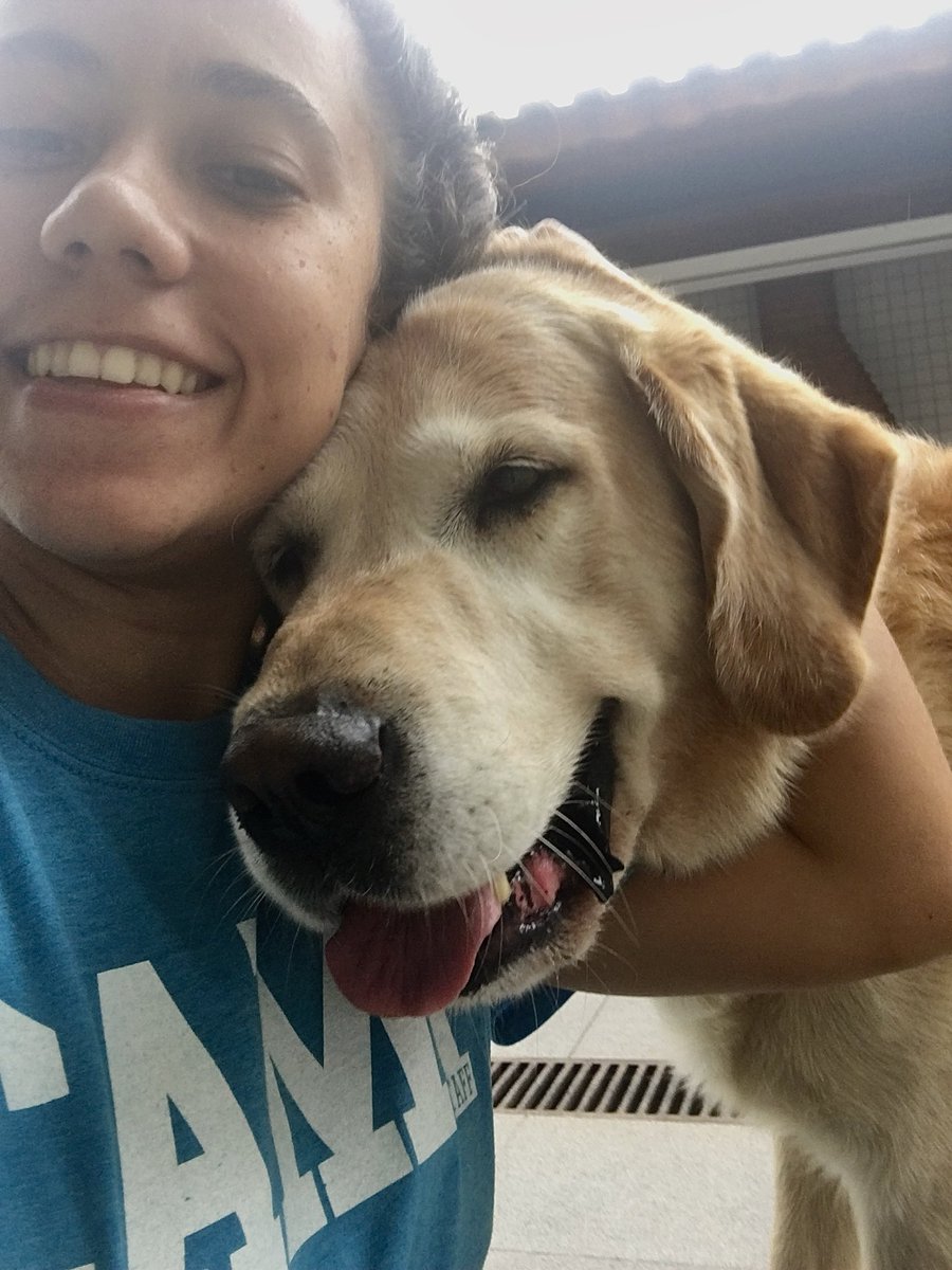 Oi gente, passando pra lembrar vcs de aproveitarem MUITO, AO MÁXIMO o tempinho que vcs tem com bichinho de vcs. O meu se foi depois de 15 anos, e está sendo devastador 😭