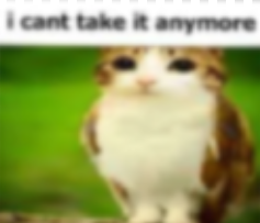 Days since Jungle Inferno Update tweet media
