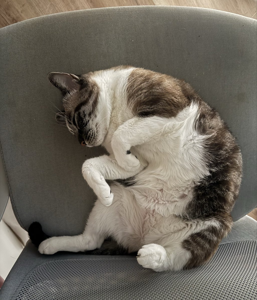 sofisoftie's tweet image. de ayer &amp;lt;3