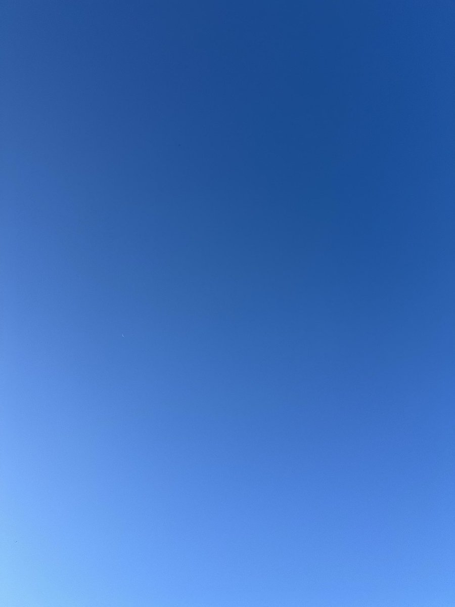 arakencloud's tweet photo. この空に月がいます。 https://t.co/1RxLOUcjqR
