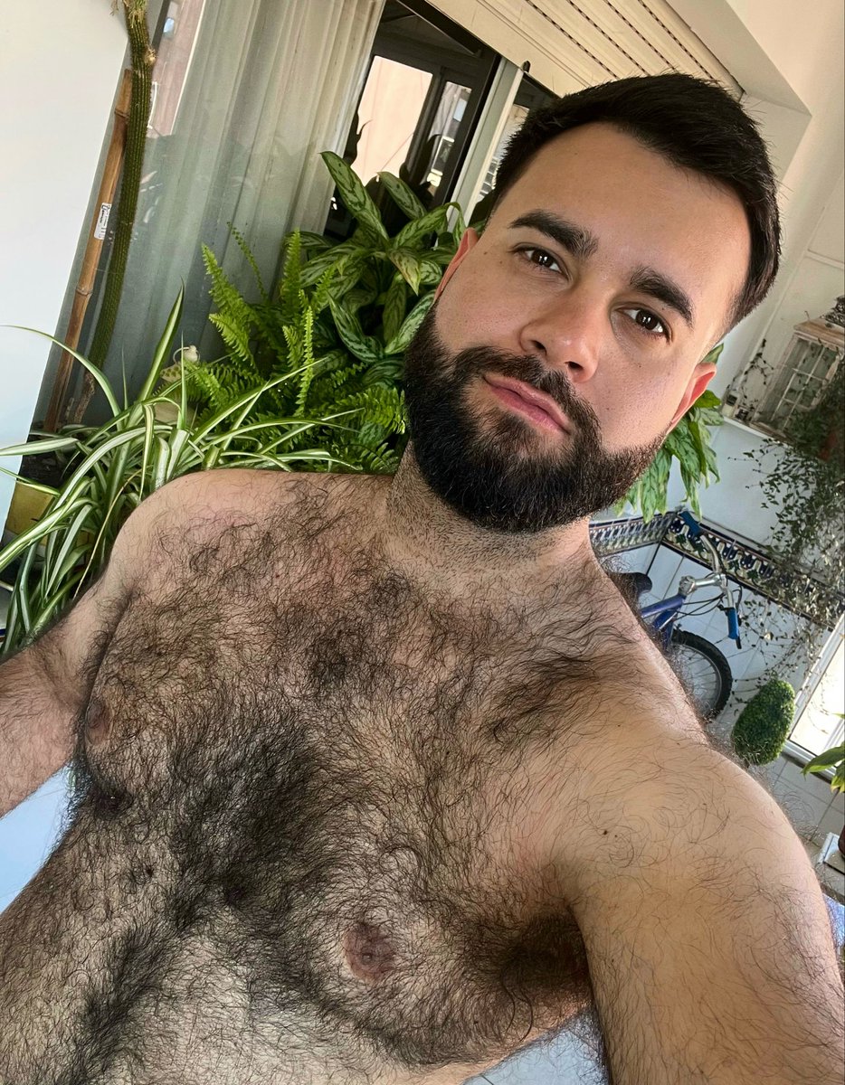 El Bearcito tweet media