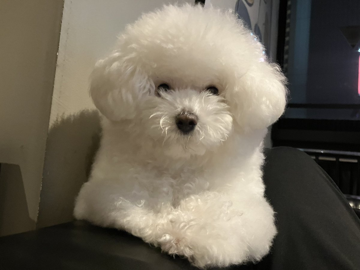 みんなほこりがじゃがいもサラダの頃からガナディになるまで見守っててくれれてありがとうね

친구 여러분, 먼지가 감자 샐러드에서 가나디가 될 때까지 지켜봐 주셔서 감사합니다