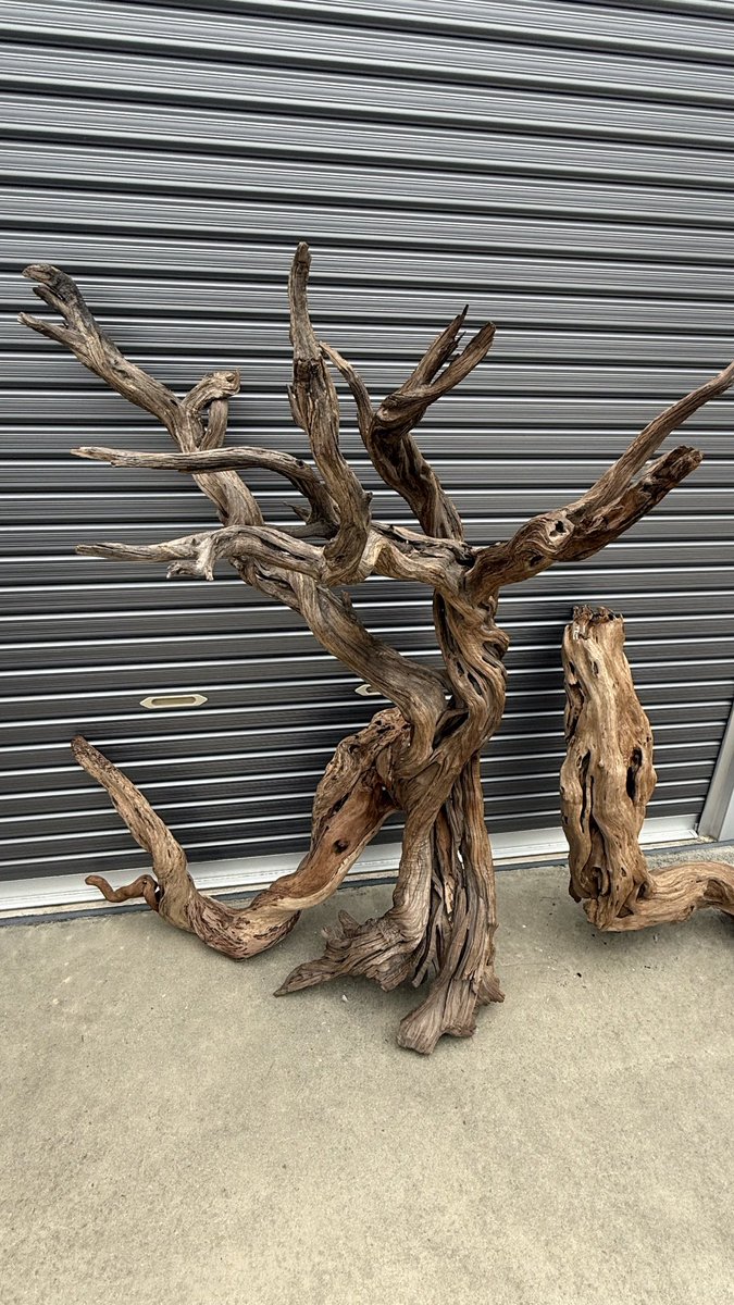 流木飾り台、サルスベリ 流木飾り台、サルスベリ - メルカリ