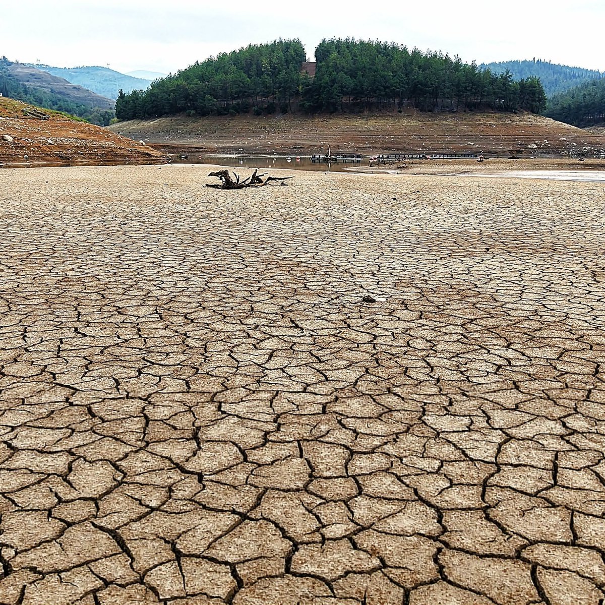 Bursa'nın 2 günlük suyu kaldı.

— Şehre su sağlayan barajların doluluk oranı: %0.15