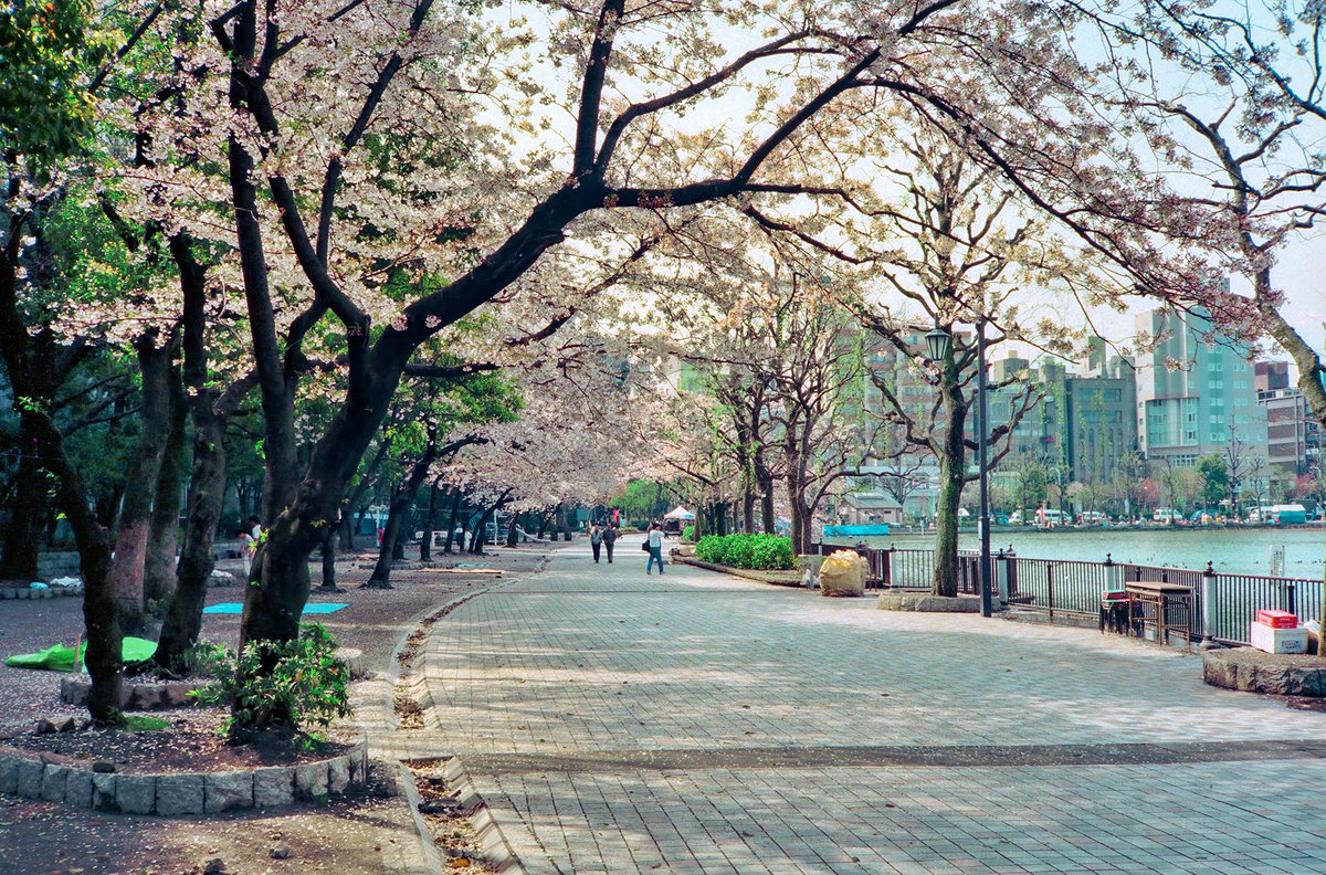 1989年、東京・上野恩賜公園