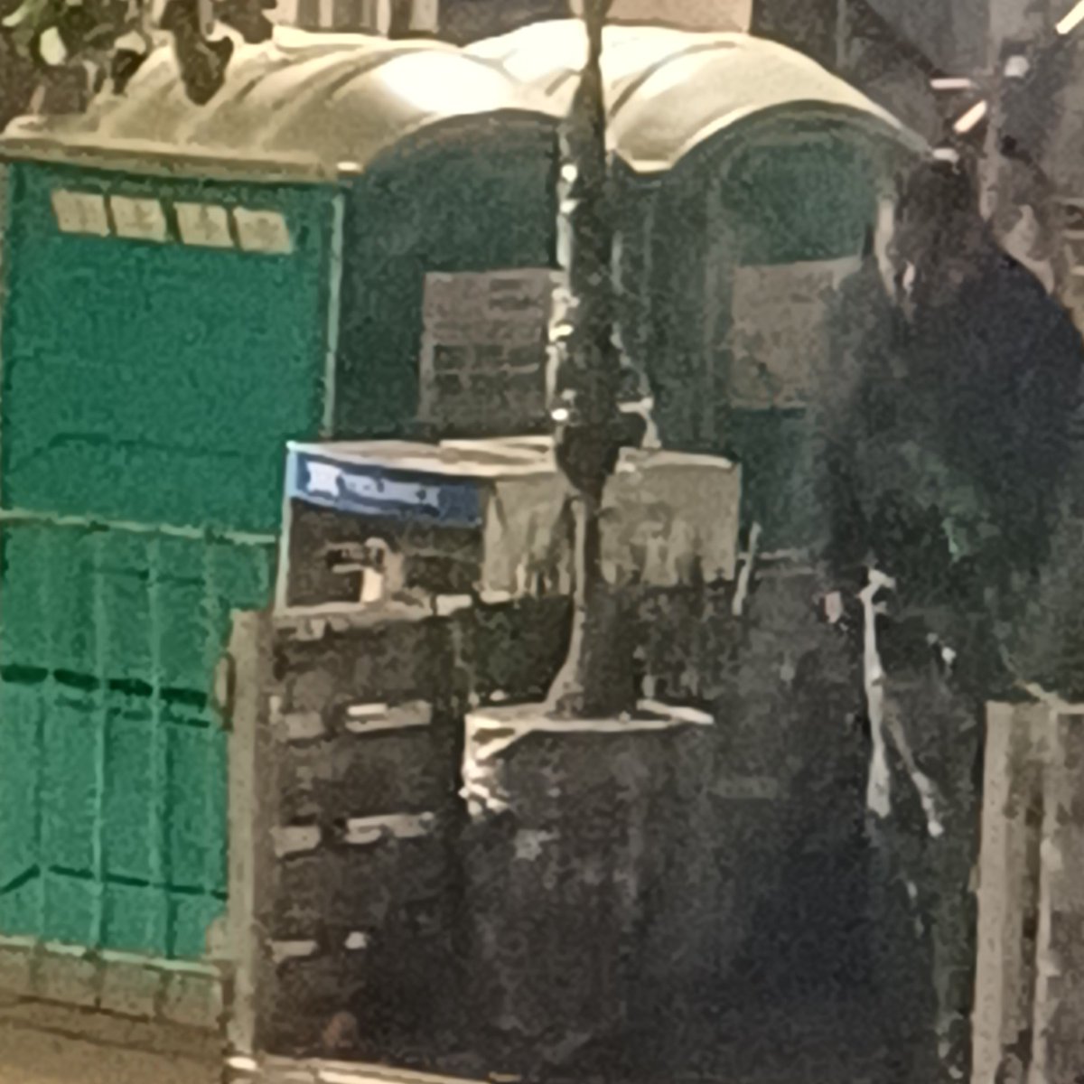 No que según la pata de elefante esta prohibida. En su verbena de plantas en paseo de la reforma altura Genova, pretenden vender esta especie. 
Ojo: Alejandro Cernantes Pérez
16102025 22:57
 <a href="/SEDEMA_CDMX/">Secretaría del Medio Ambiente</a> <a href="/aliciabarcena/">Alicia Bárcena</a> <a href="/ClaraBrugadaM/">Clara Brugada Molina</a> <a href="/SEMARNAT_mx/">SEMARNAT México</a> <a href="/locatel_mx/">@locatel_mx</a> <a href="/UCS_GCDMX/">Unidad de Contacto del Secretario SSC CDMX</a> <a href="/Jualicra/">Julia Álvarez Icaza Ramírez</a>