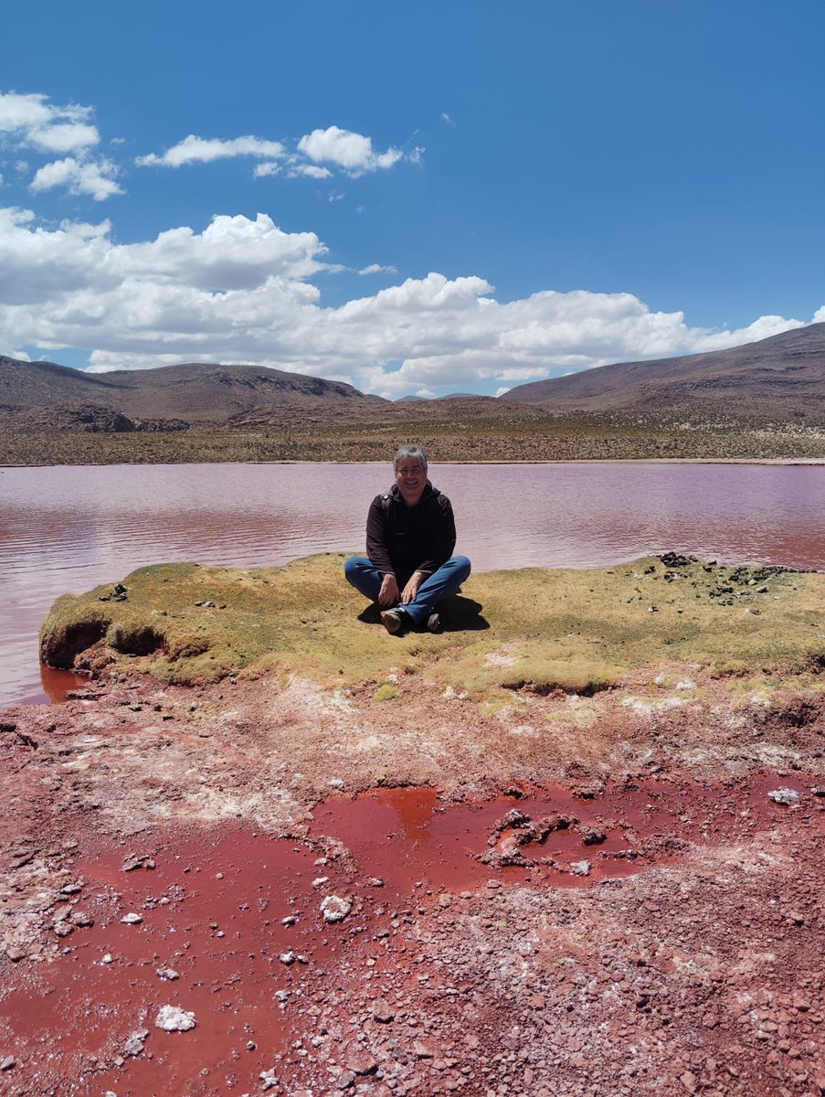 Hoy cumplí un sueño. Muchos años quise conocer la Laguna Roja en Iquique a la cordillera. El que pueda, vaya, es una maravilla de la naturaleza.