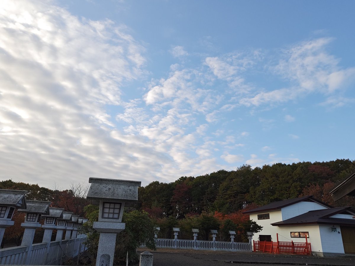 atsuga705kosabu's tweet image. 昨夜は警報が出る凄い雨でした😓
今朝は、なんとか⏰️早朝ウォーキング🚶‍♀️気温は12℃とあまり低くなかったので、よかった〜😂
神社では鹿🦌さんにもリス🐿️さんにも会えなかった🥲あんな大雨の時は、どこにいるのかな？🥺
#雨上がりの夜明けに
#WindWorks
#加藤大輝作曲
youtu.be/HWjuo9F9tR4?si…